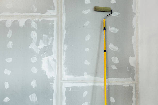 Best Drywall Crack Repair  in Rockdale, TX